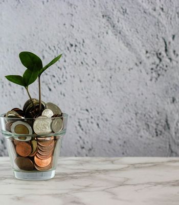 A pot full of coins set on a marble table with a plant growing out of it.