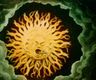Still from an early animation showing a sun swallinging a train By Georges Méliès - Méliès: Fairy Tales in Color, Public Domain, Creative Commons
